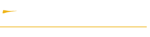 EverFast Fiber